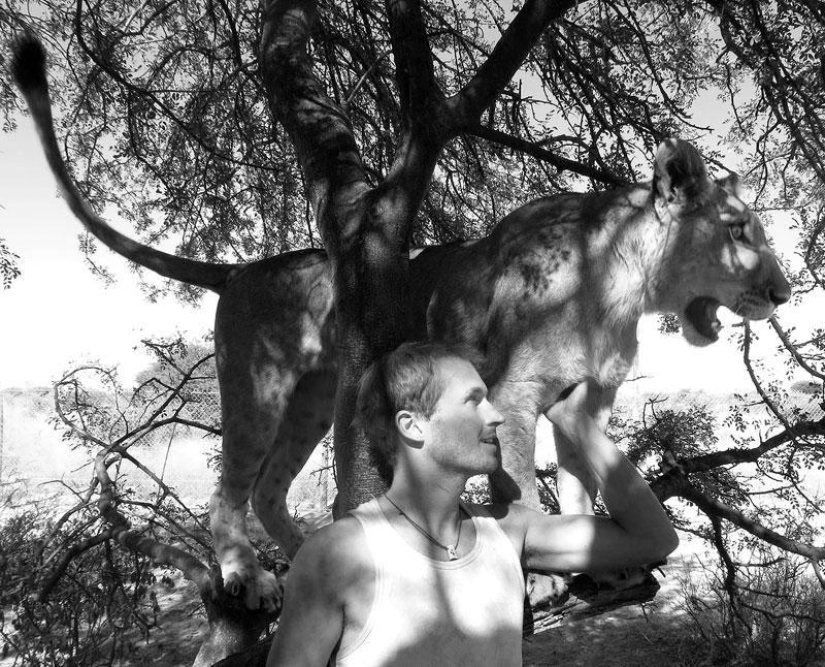 Cómo viví con leones en Botswana