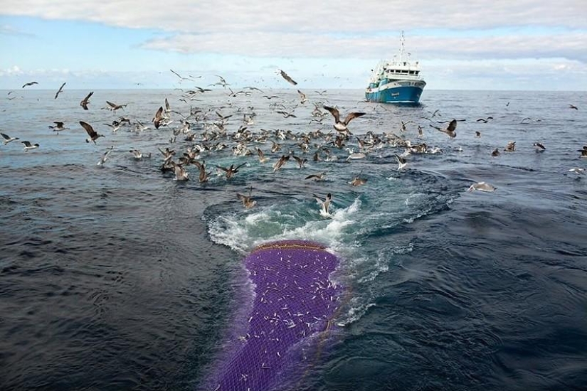 Cómo viven las comunidades pesqueras de los mares del norte