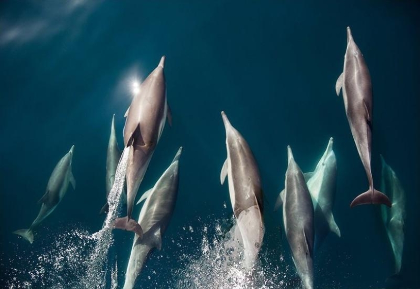 Cómo viven las comunidades pesqueras de los mares del norte