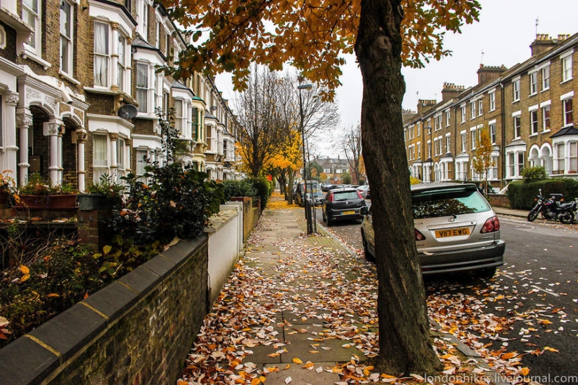 ¿Cómo viven los estudiantes en Londres?