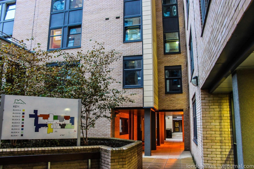 ¿Cómo viven los estudiantes en Londres?