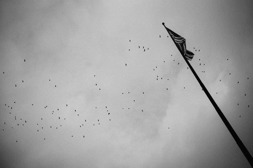 ¿Cómo viven los habitantes de los suburbios de Detroit? ¿Cómo viven los habitantes de los suburbios de Detroit?