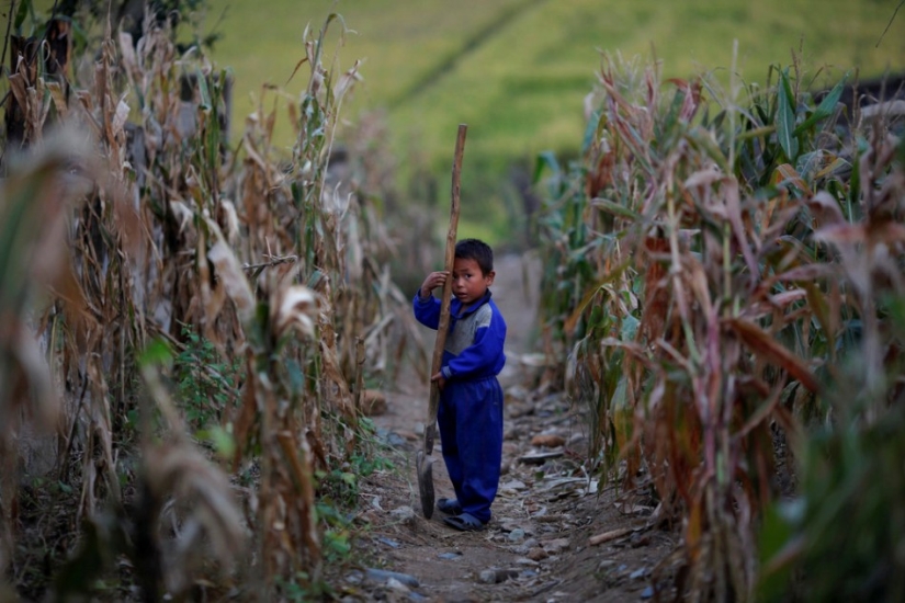 Cómo viven los niños en Corea del Norte