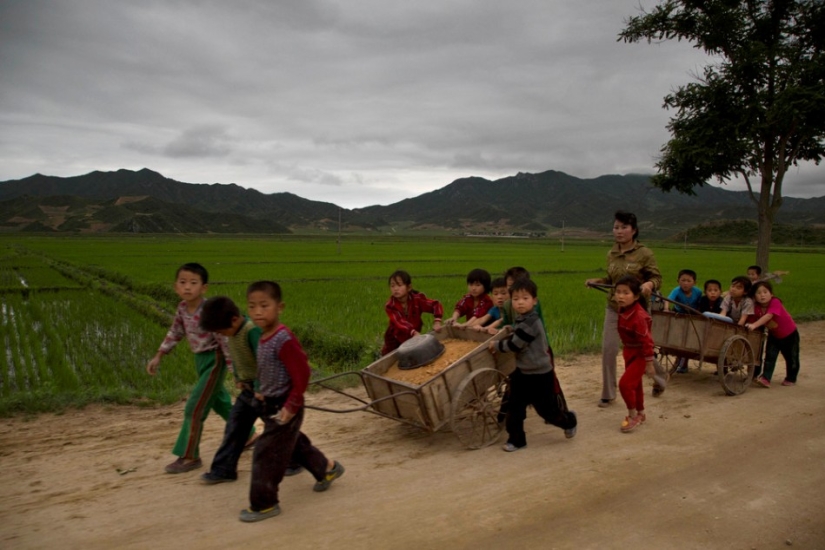 Cómo viven los niños en Corea del Norte