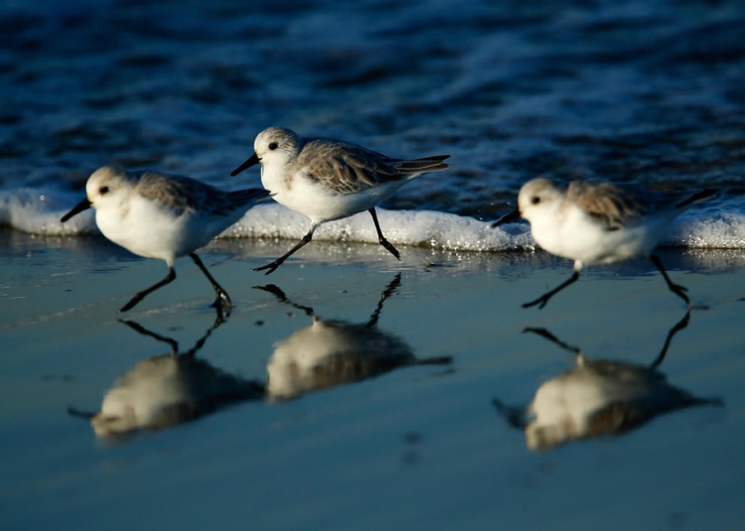 Coasts around the world in pictures