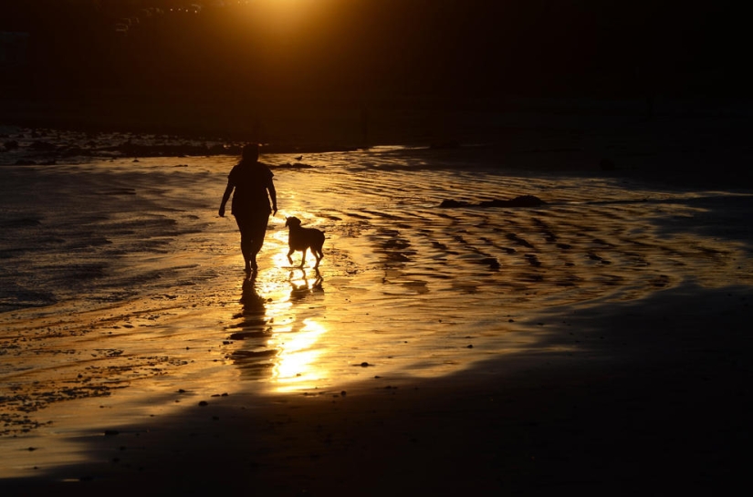 Coasts around the world in pictures