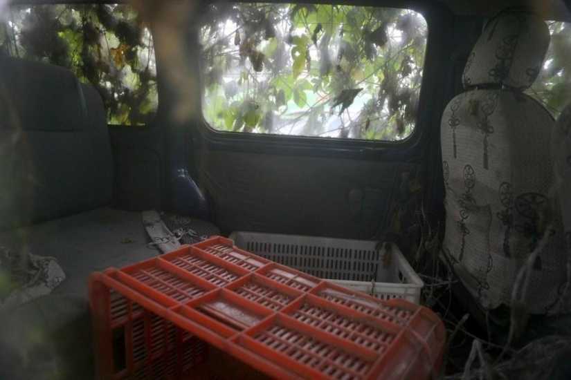 Coche zombie siniestro de China