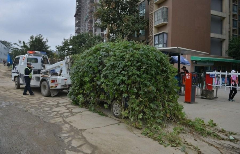 Coche zombie siniestro de China