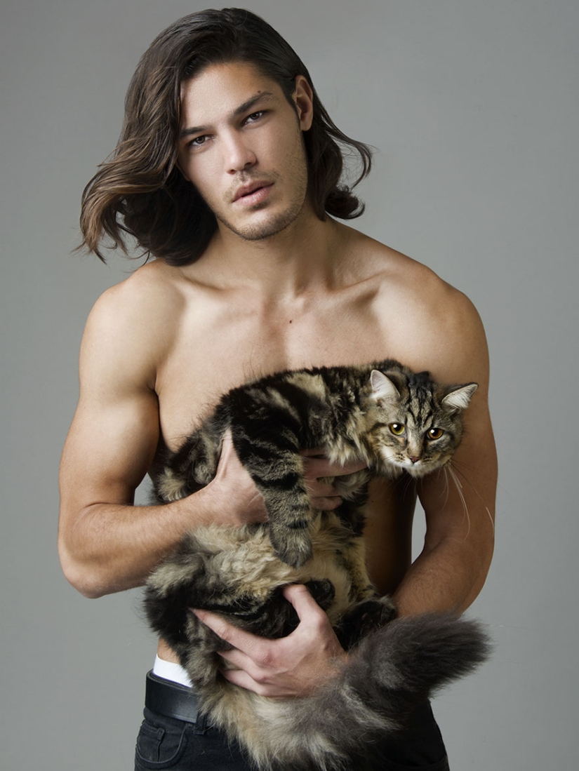 Combo effect: photographer takes hypnotizing pictures of half-naked beauties with cats Combo effect: photographer takes hypnotizing pictures of half-naked beauties with cats