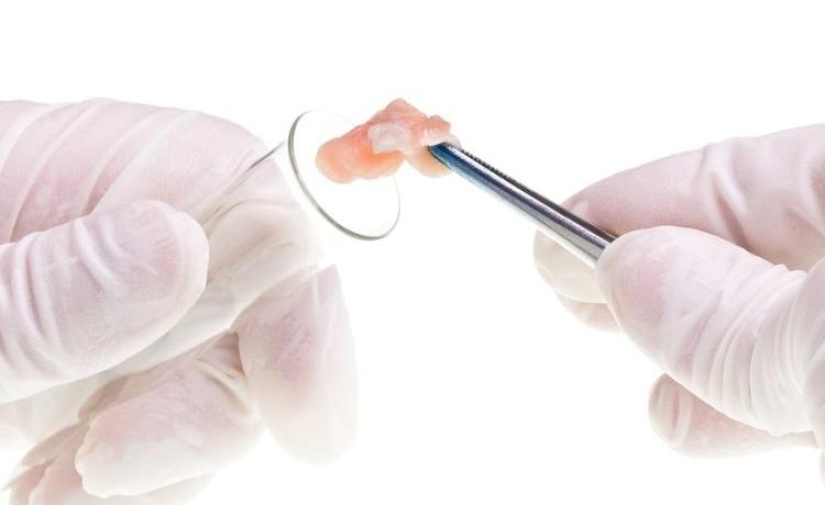 ¿Comerías eso? Los estadounidenses han cultivado carne en un tubo de ensayo ¿Comerías eso? Los estadounidenses han cultivado carne en un tubo de ensayo