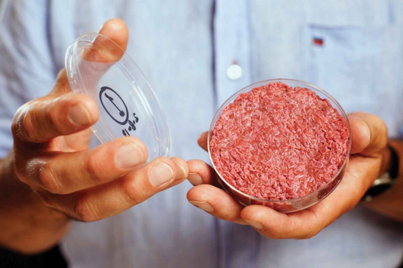 ¿Comerías eso? Los estadounidenses han cultivado carne en un tubo de ensayo ¿Comerías eso? Los estadounidenses han cultivado carne en un tubo de ensayo
