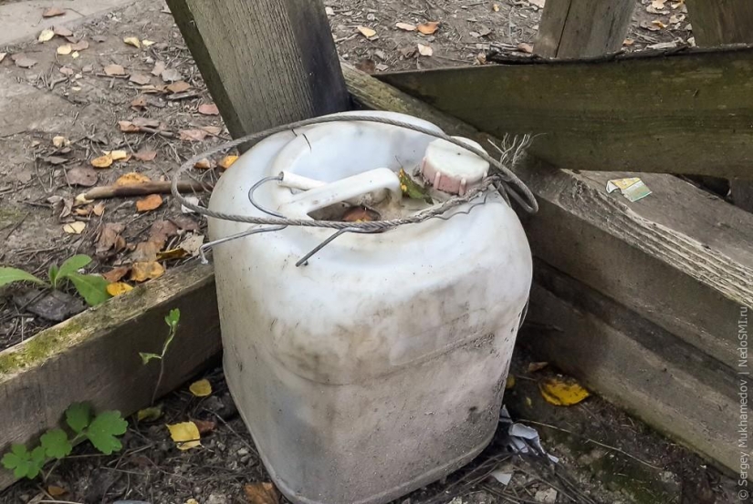 Complejo de poder &quot;Pinocho&quot;: Mecedora de madera en el bosque