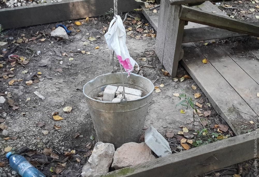 Complejo de poder &quot;Pinocho&quot;: Mecedora de madera en el bosque