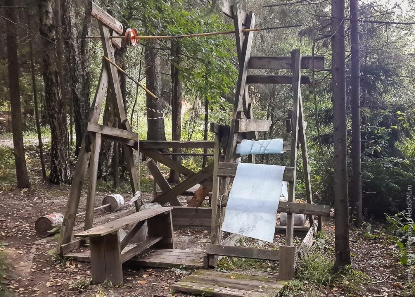 Complejo de poder &quot;Pinocho&quot;: Mecedora de madera en el bosque