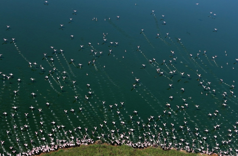 Concurso de Fotografía de Viajero de National Geographic — 2014