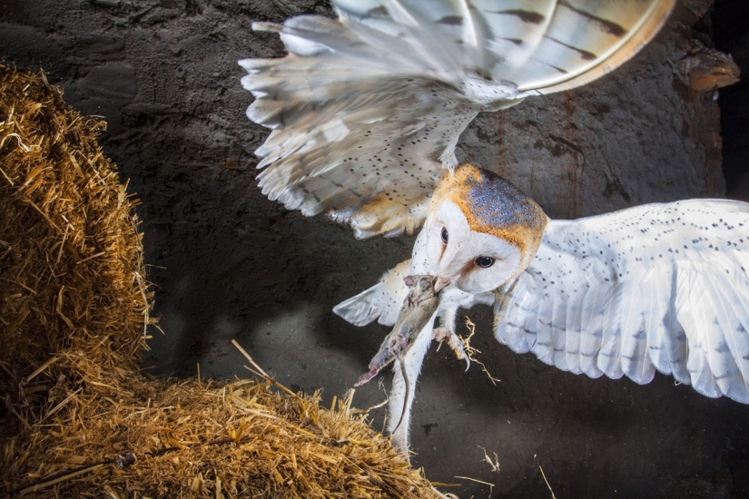 Concurso de Fotografía de Viajero de National Geographic — 2014
