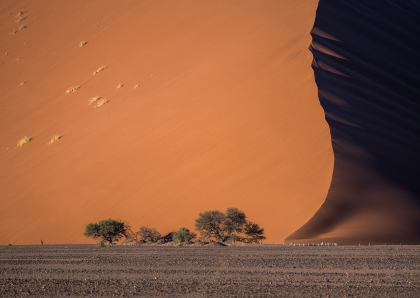 Concurso de Fotografía de Viajero de National Geographic — 2014