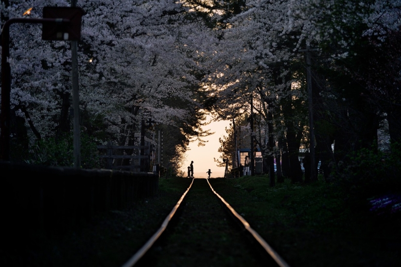 Concurso de Fotografía de Viajero de National Geographic — 2014