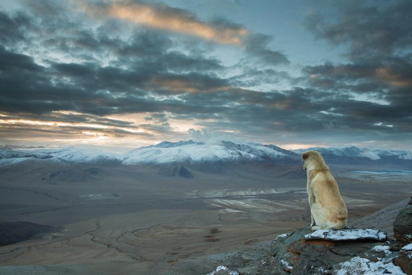 Concurso de Fotografía de Viajero de National Geographic — 2014