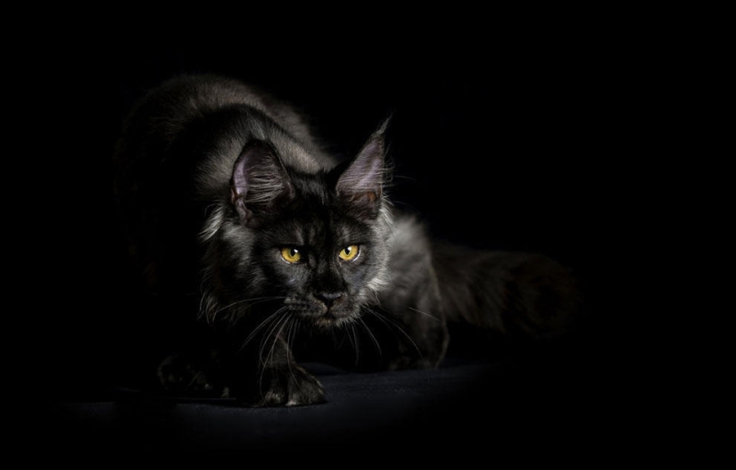 Concurso de fotografía de National Geographic 2013