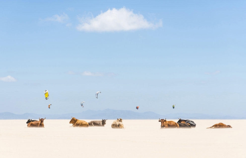 Concurso de fotografía de National Geographic 2013