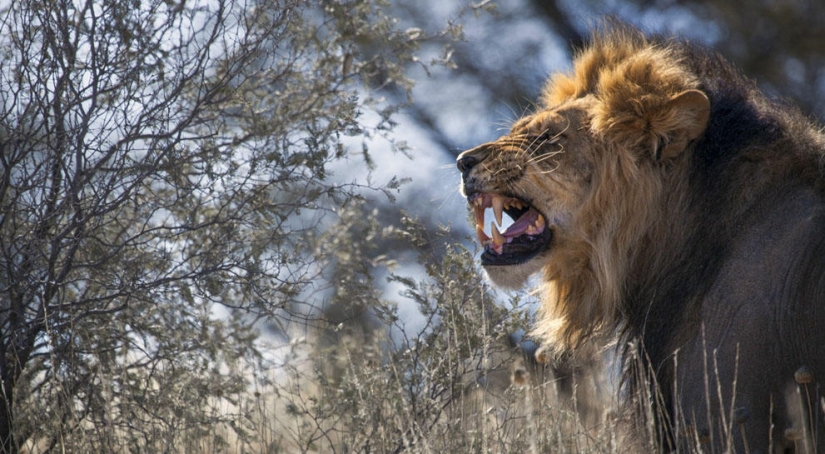 Concurso de fotografía de National Geographic 2013