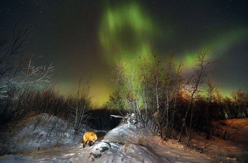 Concurso de fotografía de National Geographic 2013