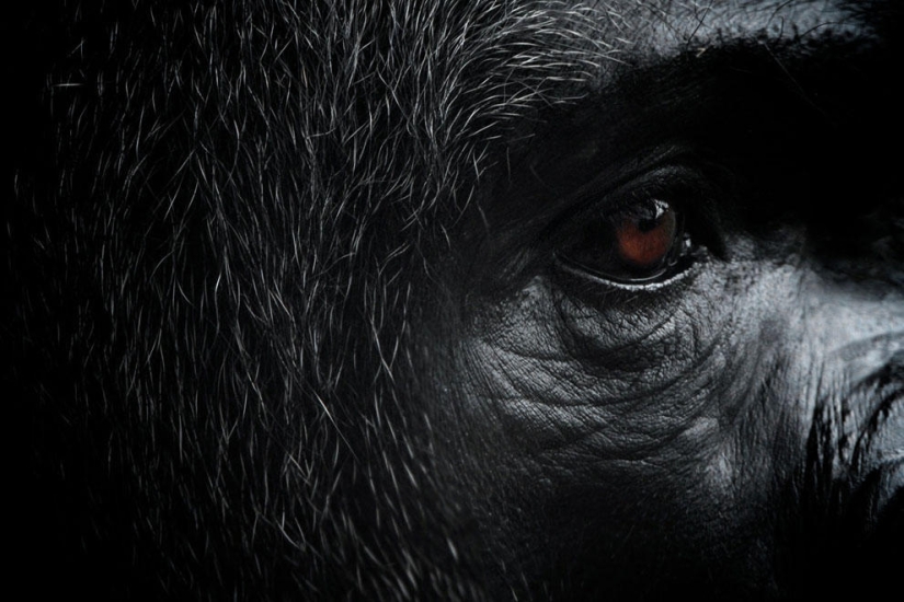 Concurso de fotografía de National Geographic 2013
