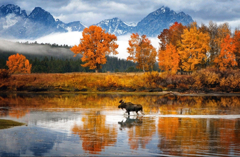 Concurso de fotografía de National Geographic 2013