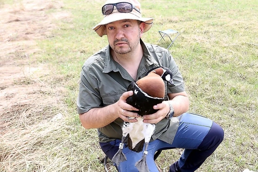 Conozca a 12 increíbles héroes de la conservación que salvan nuestra vida silvestre de la extinción