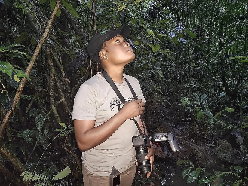 Conozca a 12 increíbles héroes de la conservación que salvan nuestra vida silvestre de la extinción