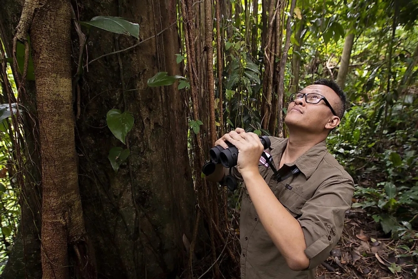 Conozca a 12 increíbles héroes de la conservación que salvan nuestra vida silvestre de la extinción