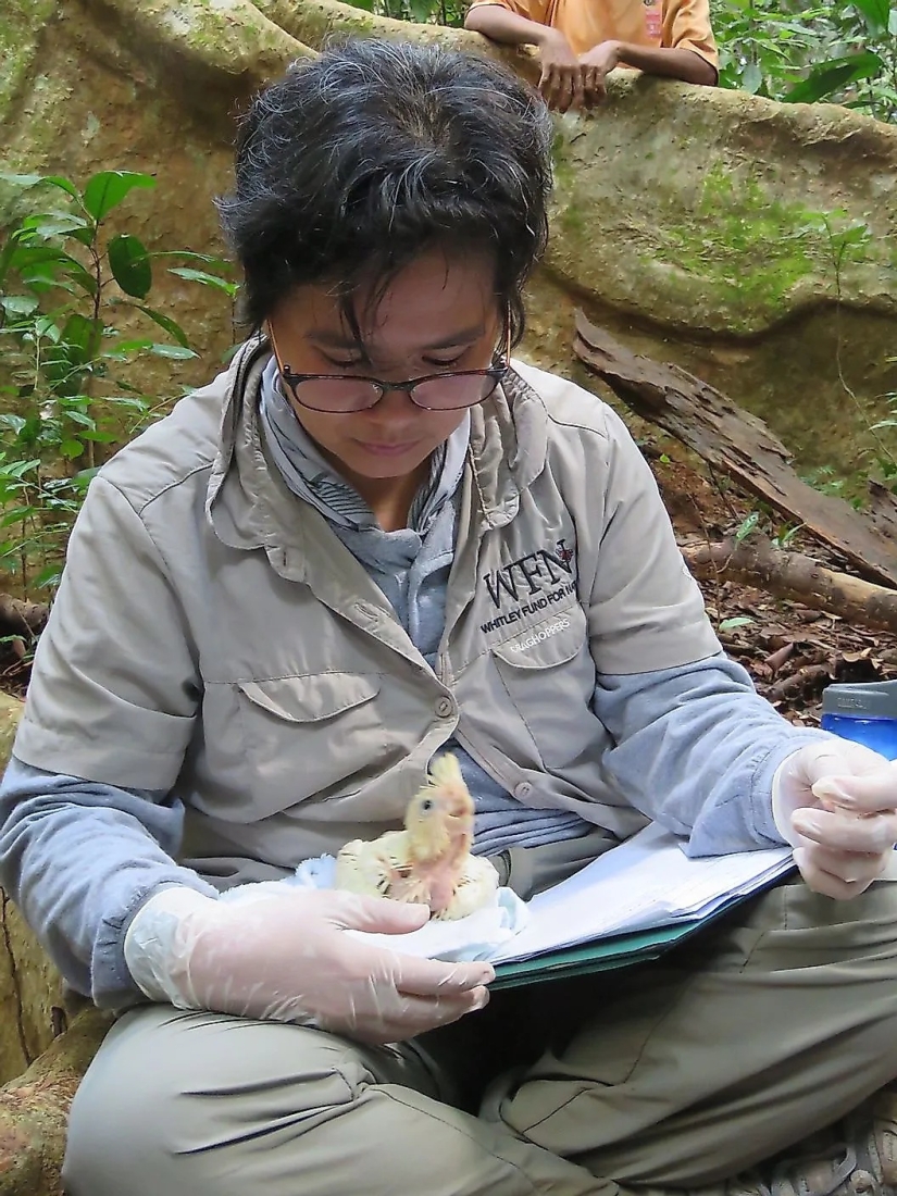 Conozca a 12 increíbles héroes de la conservación que salvan nuestra vida silvestre de la extinción