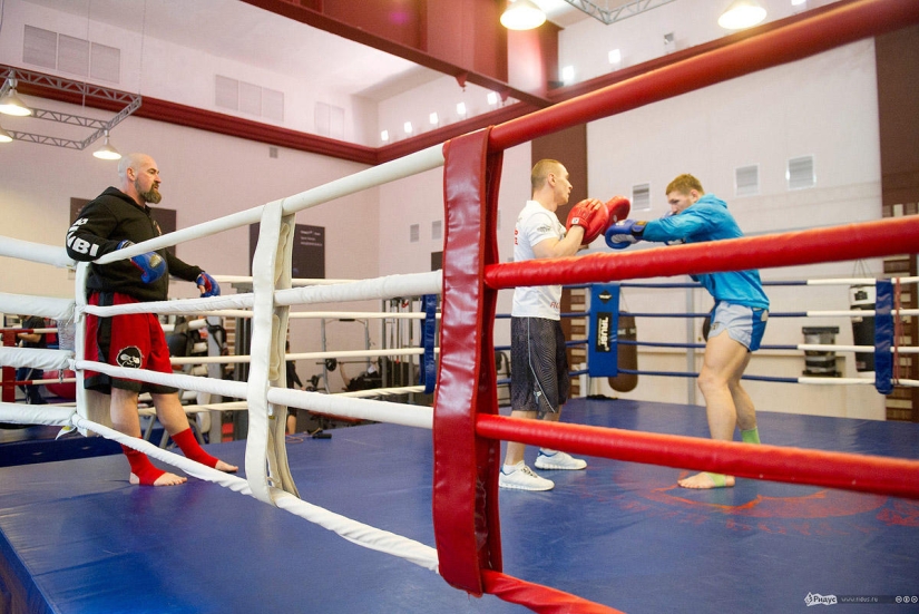 Consejos del famoso héroe ruso. Consejos del famoso héroe ruso.