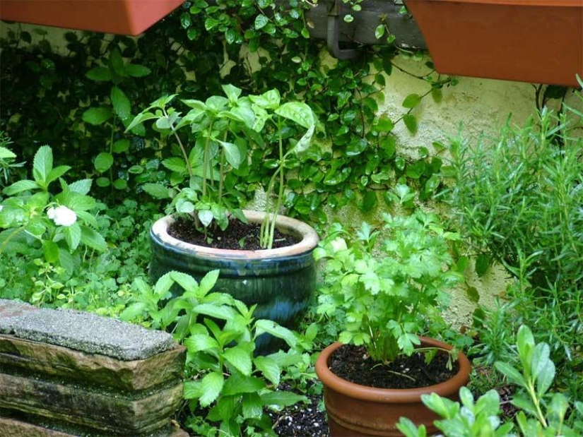 Consejos útiles para estar sano Consejos útiles para estar sano