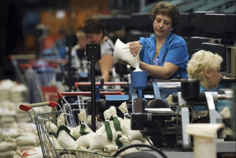 Conveyor of money: how production is organized at Goznak