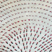 Coro de Kung Fu: 30 mil estudiantes de todo el mundo mostraron una clase en el monasterio Shaolin