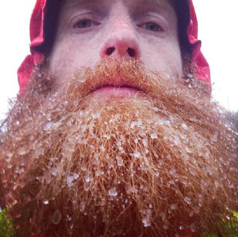 ¡Corre, Sean, corre!