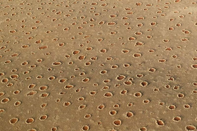 Círculos misteriosos en Namibia