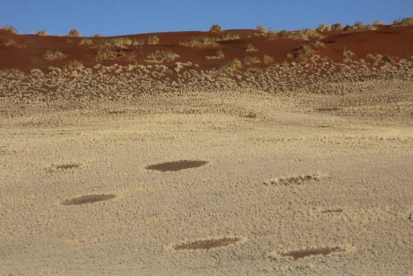 Círculos misteriosos en Namibia