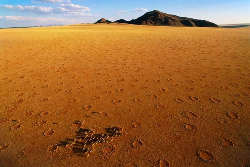 Círculos misteriosos en Namibia