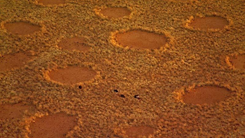 Círculos misteriosos en Namibia