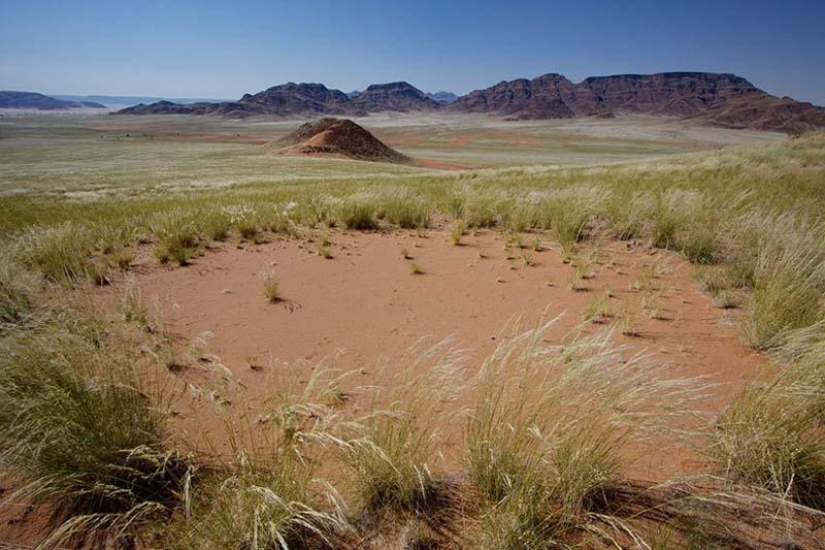 Círculos misteriosos en Namibia