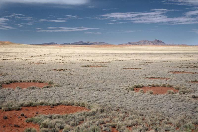 Círculos misteriosos en Namibia