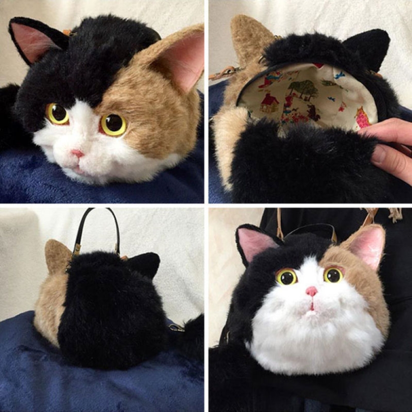 Creepy or cute? Cat bags are a new trend in Japan Creepy or cute? Cat bags are a new trend in Japan