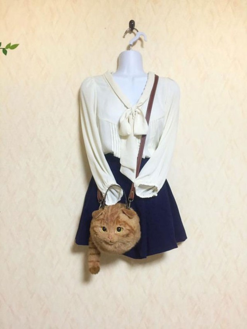 Creepy or cute? Cat bags are a new trend in Japan Creepy or cute? Cat bags are a new trend in Japan