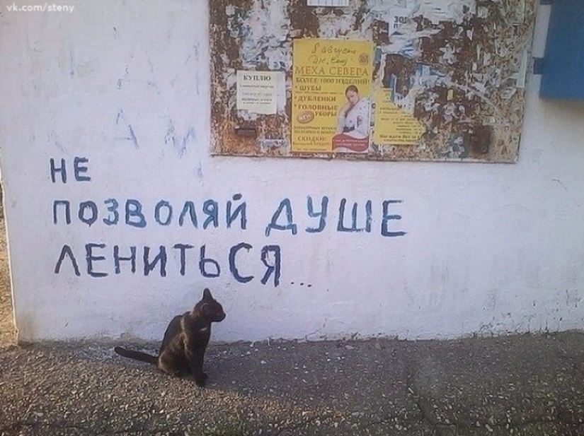 Cuando el graffiti mira directamente a tu alma