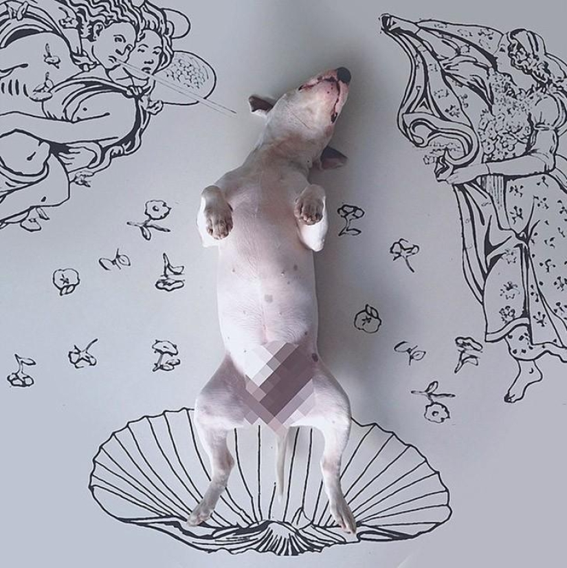 Cuando el perro está posando