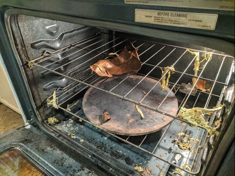 ¿Cuál es uno de sus errores de cocina más significativos? ¿Cuál es uno de sus errores de cocina más significativos?