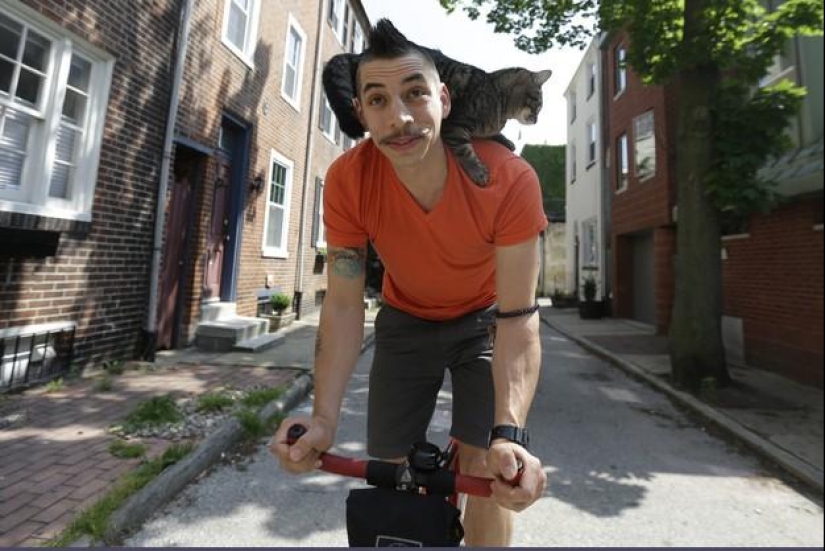Cyclist and his cat